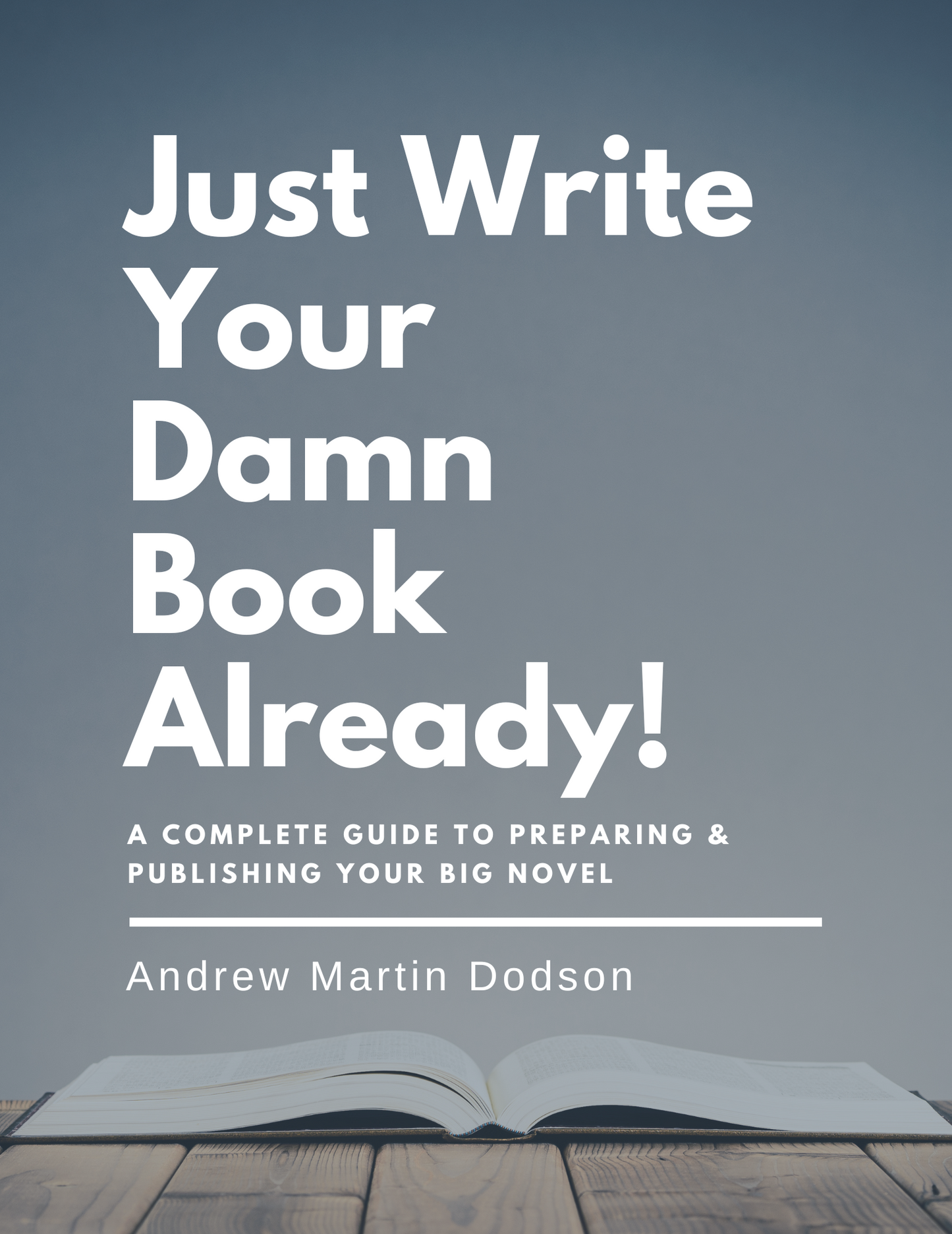 Just Write Your Damn Book Already!